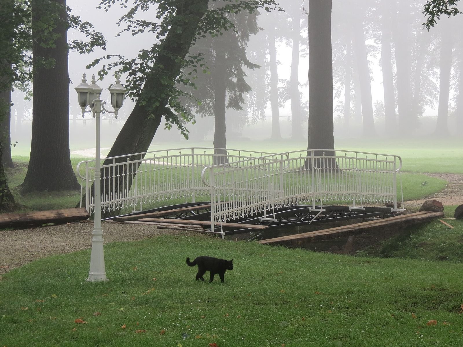 Park pałacowy w porannej mgle z białym mostkiem, latarnią i czarnym kotem na trawie.