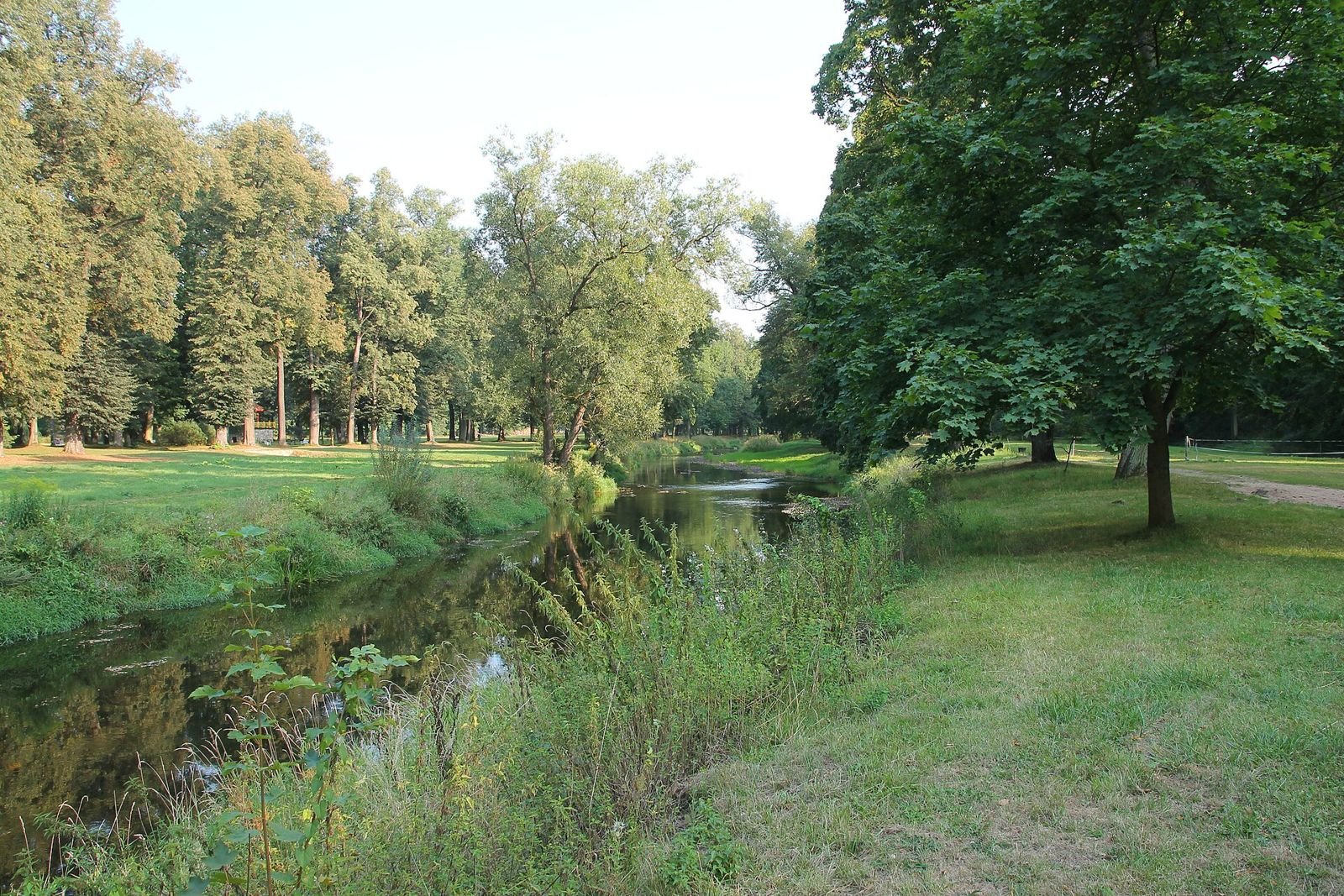 Potok płynący przez park w Łomnicy, po obu brzegach trawniki i wysokie drzewa.