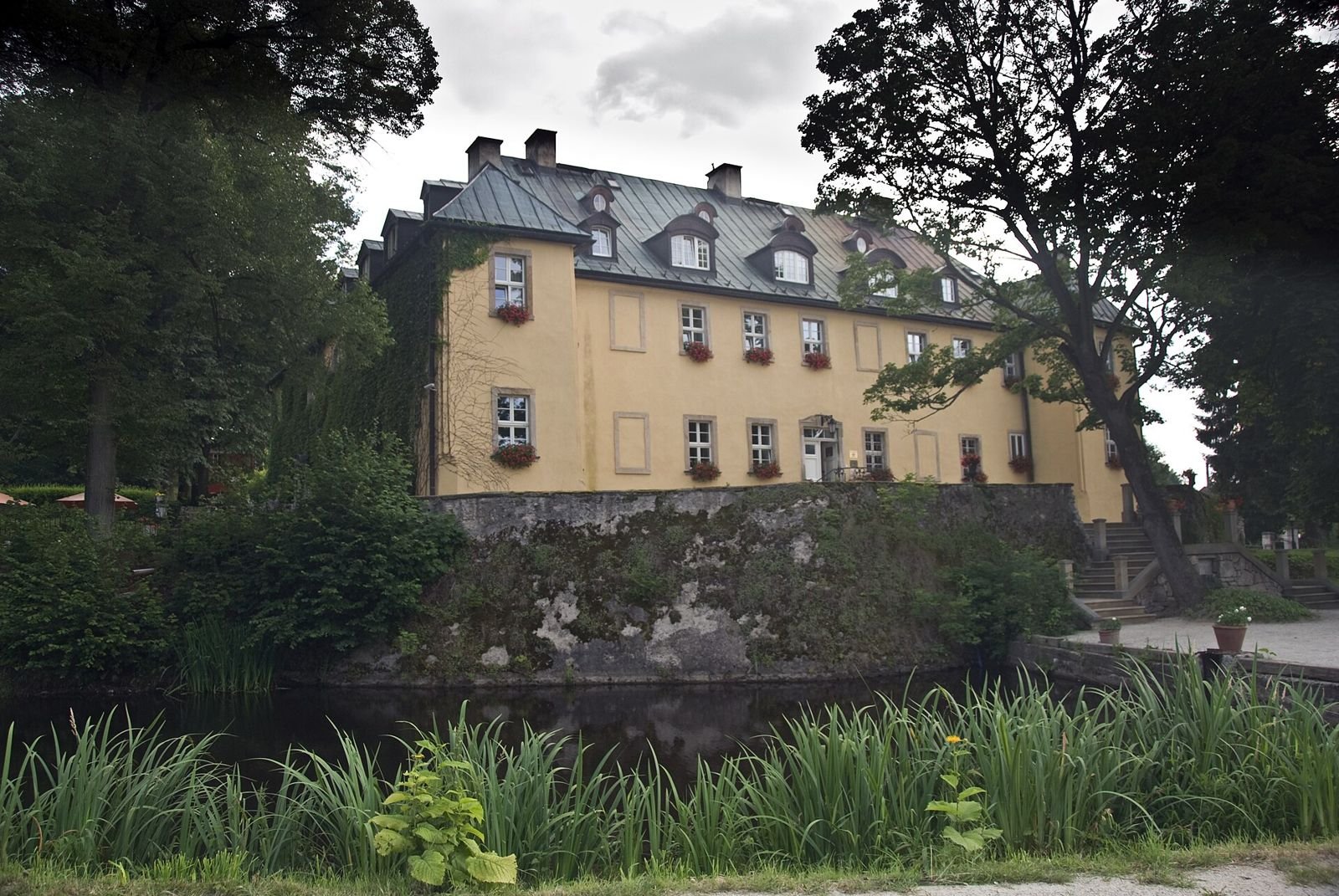 Żółty pałac na skarpie nad stawem, wśród drzew parku, z pasem szuwarów na pierwszym planie.