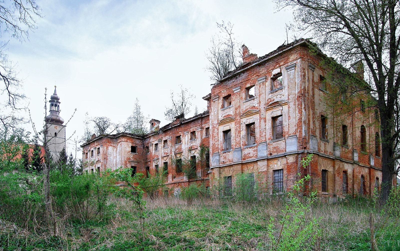 Ruina pałacu z zewnątrz, widok na ceglane mury z pustymi oknami, w tle smukła wieża.