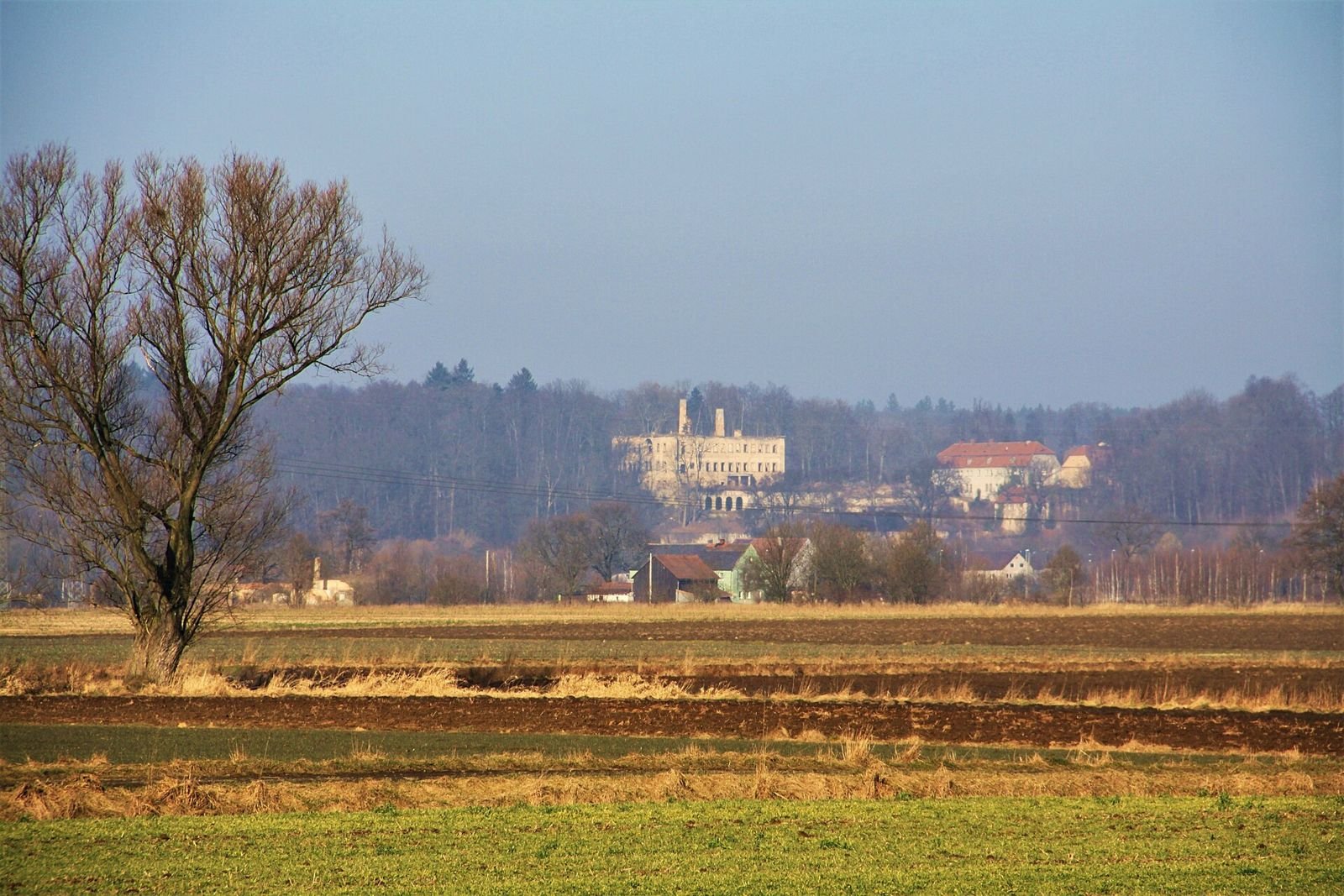 Pałac widoczny w oddali ponad polami i drzewami, na tle lasu.
