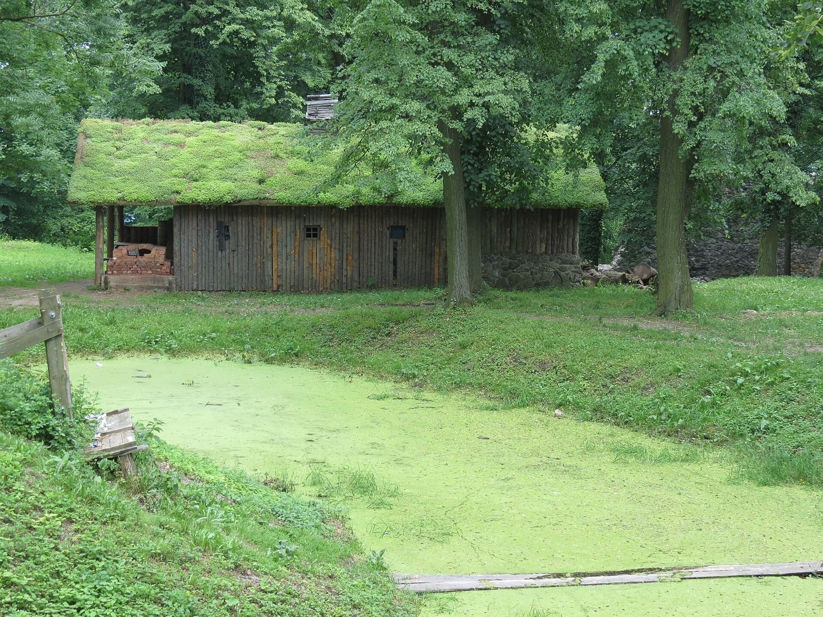 Drewniana chata z dachem porośniętym mchem nad stawem pokrytym rzęsą w parku przy zamku Grodziec.