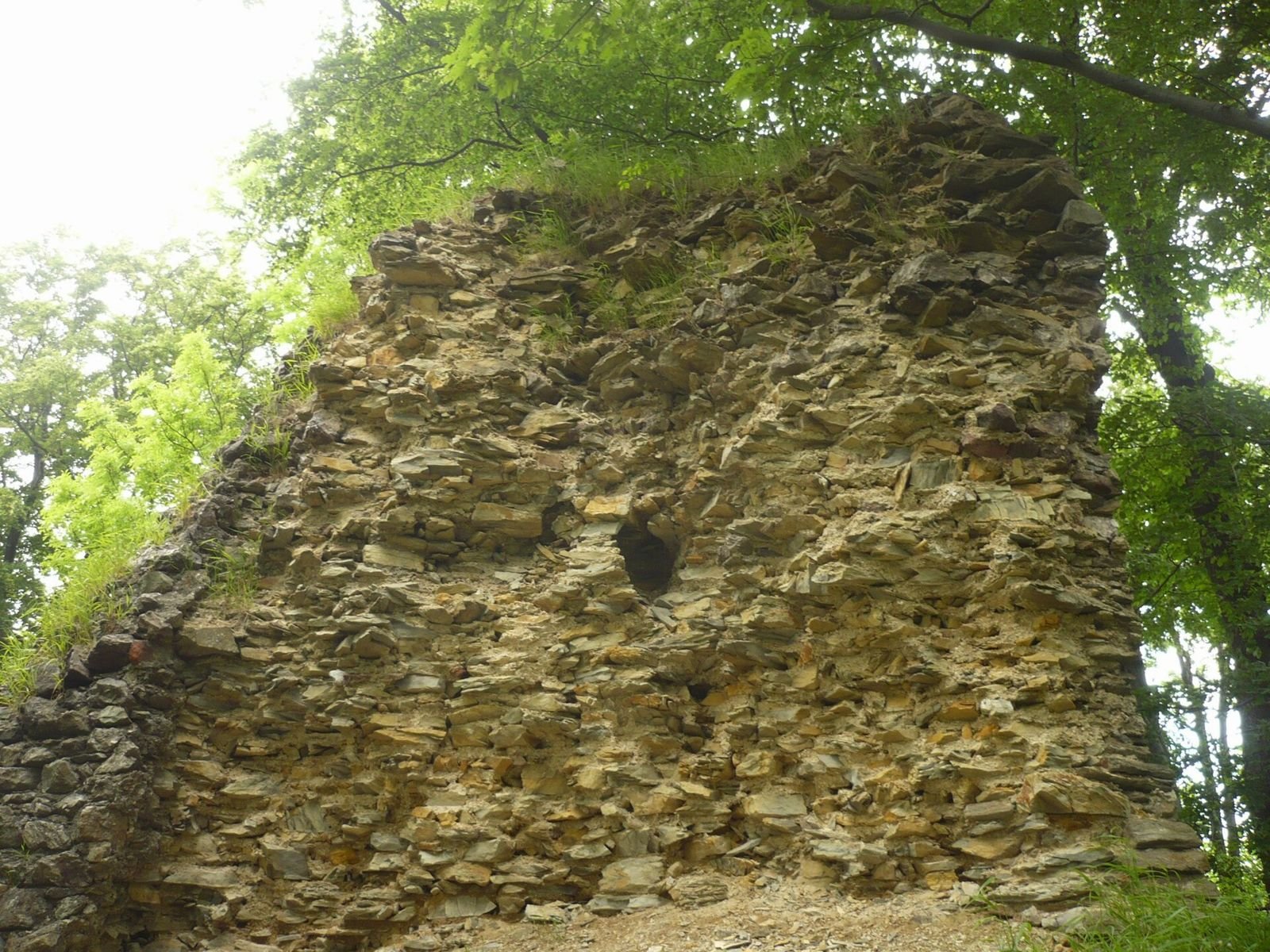 Wysoki fragment muru z łamanego kamienia pod koronami drzew.
