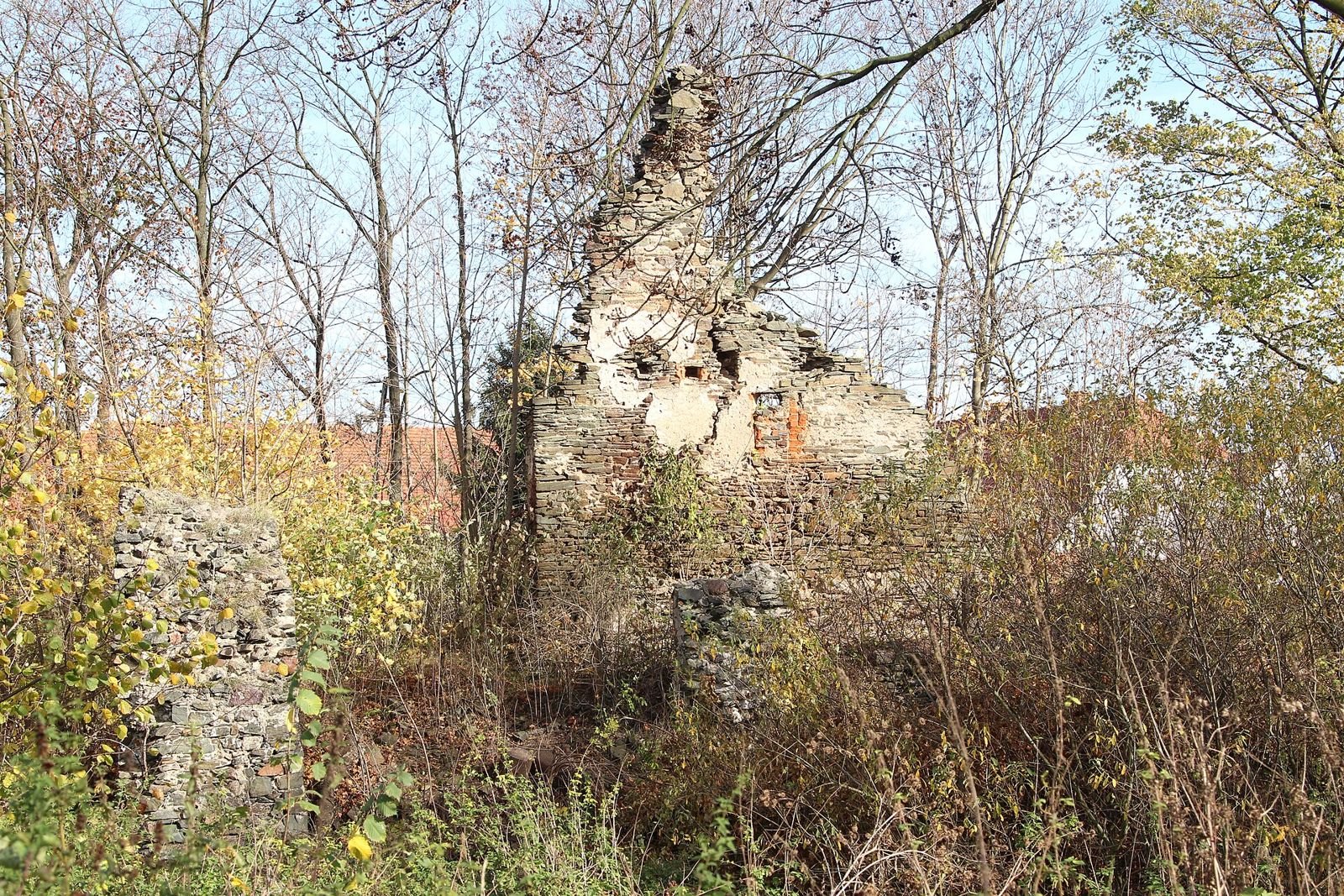 Wysoki fragment ceglano-kamiennego muru ruiny zamku w Kłaczynie wyłaniający się z zarośli.