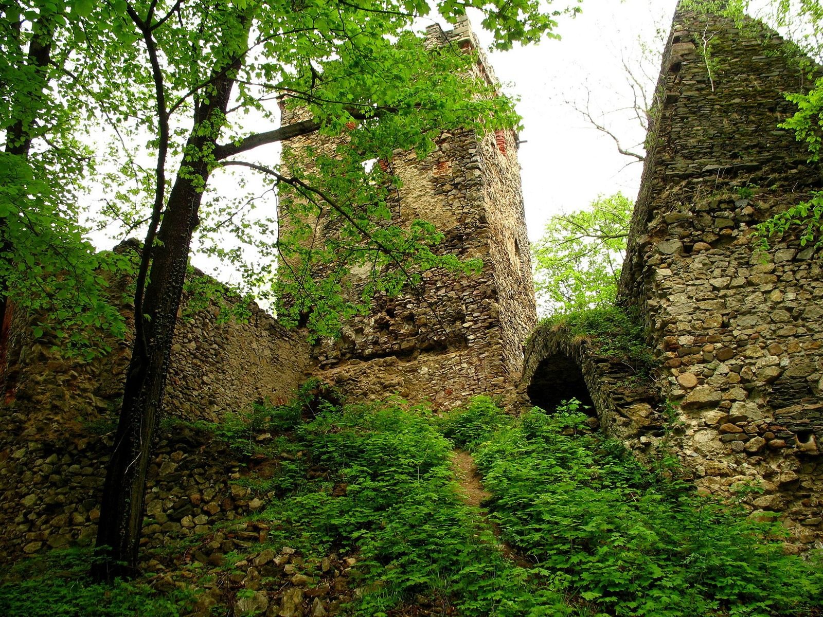 Kamienne mury ruin zamku z łukowym otworem, porośnięte zielenią.