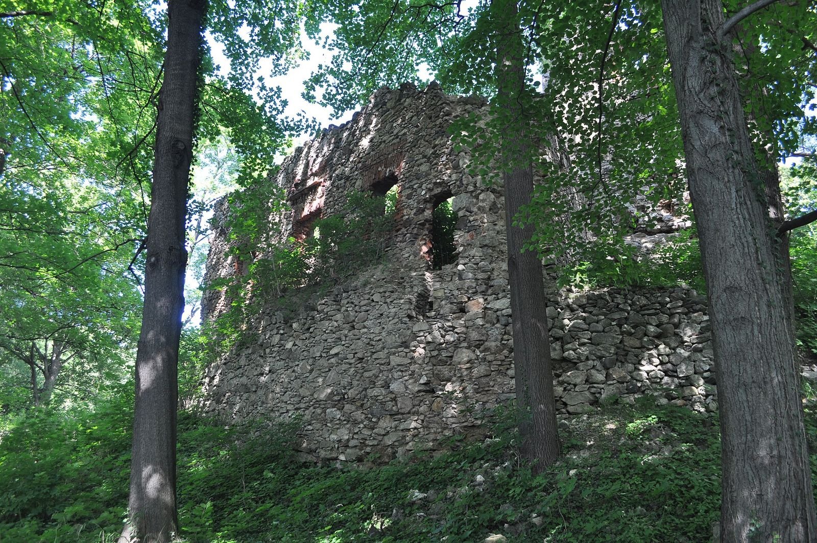 Kamienny mur ruin zamku z otworami okiennymi, widziany spomiędzy drzew.
