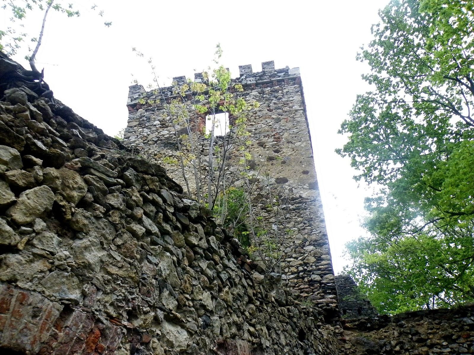 Wysoka kamienna budowla z krenelażem widziana zza muru ruin, wśród drzew.