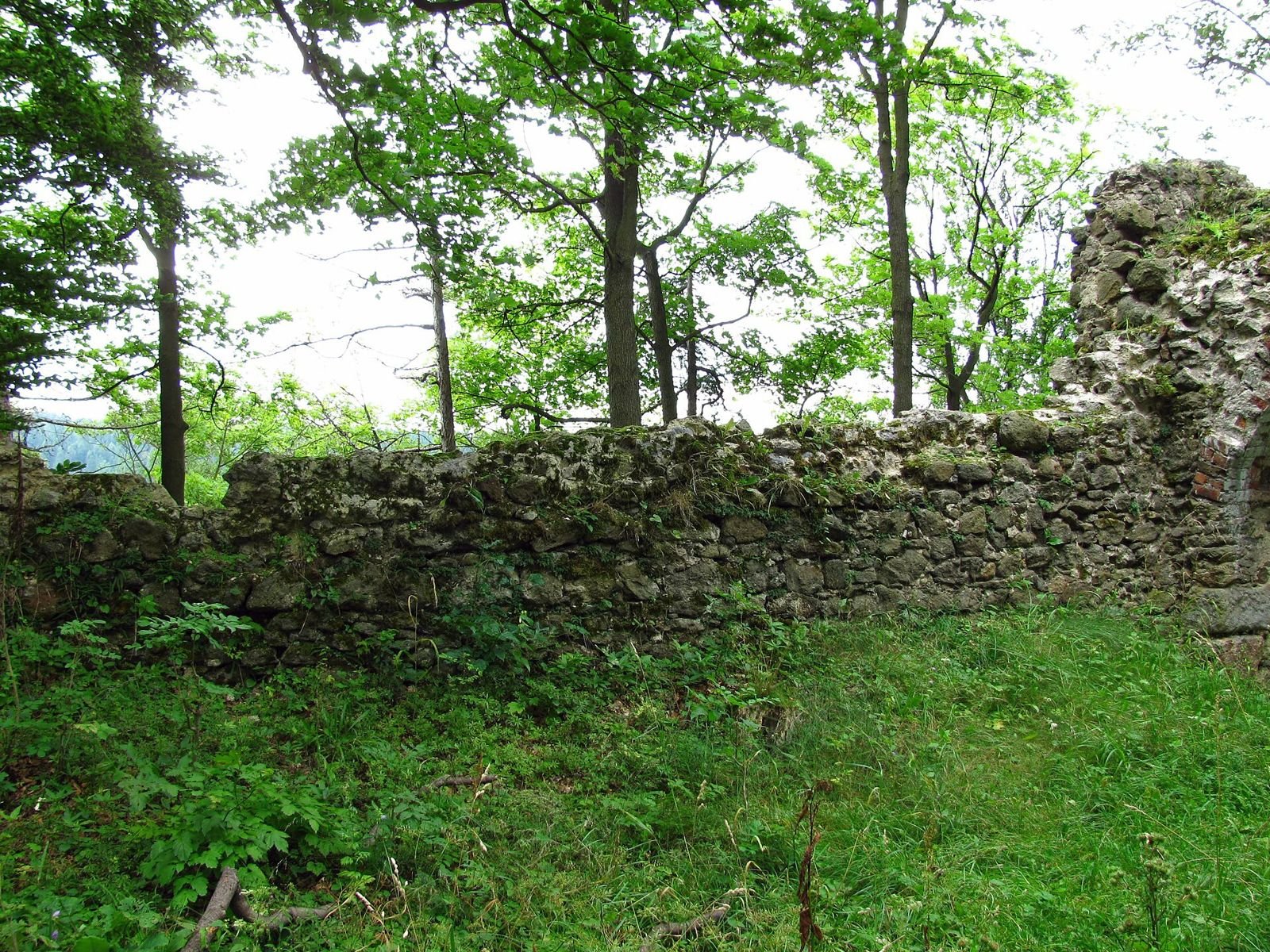 Długi fragment muru z nieregularnego kamienia, za nim drzewa; po prawej wyższy fragment ruiny.