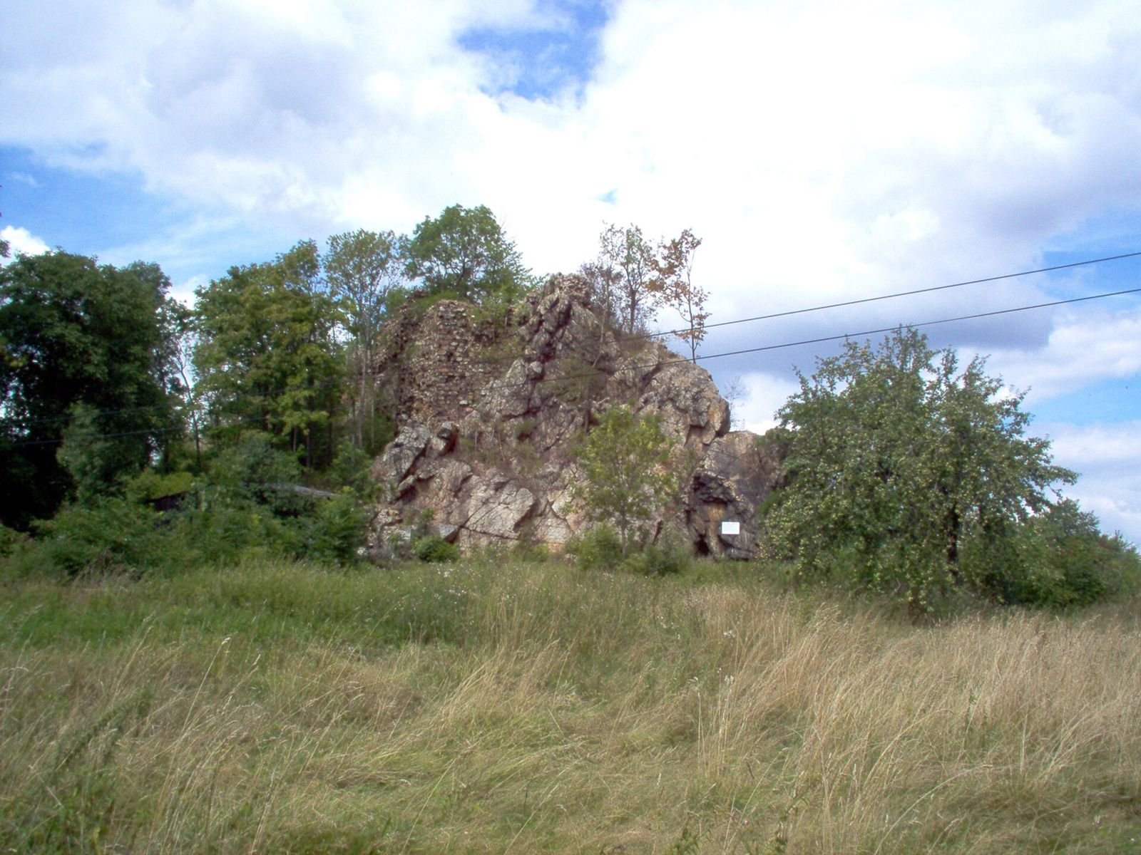 Skalna baszta ruin zamku widoczna zza łąki, wśród drzew i krzewów.