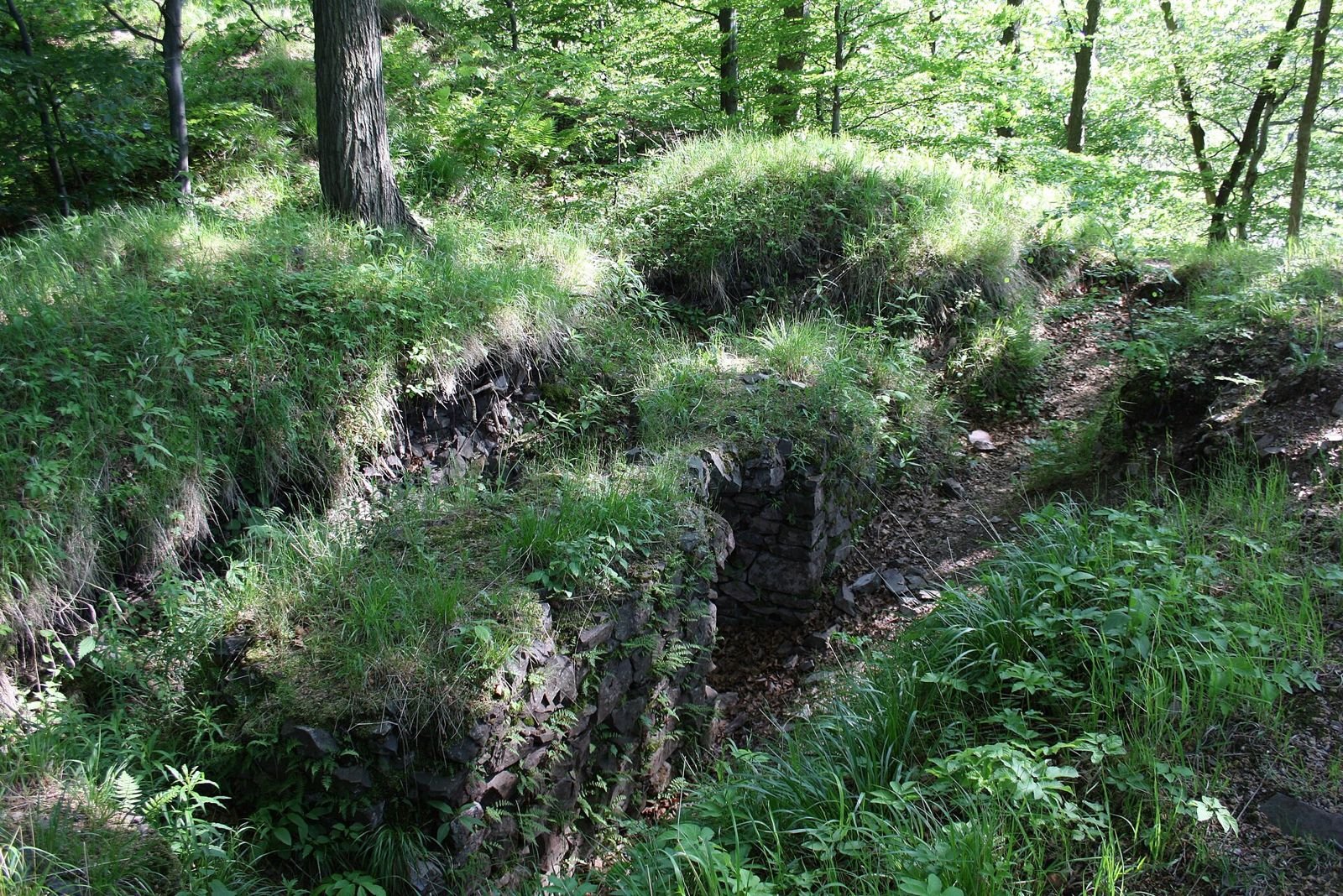 Zarośnięte trawą kamienne mury i zagłębienia w lesie na terenie ruin.