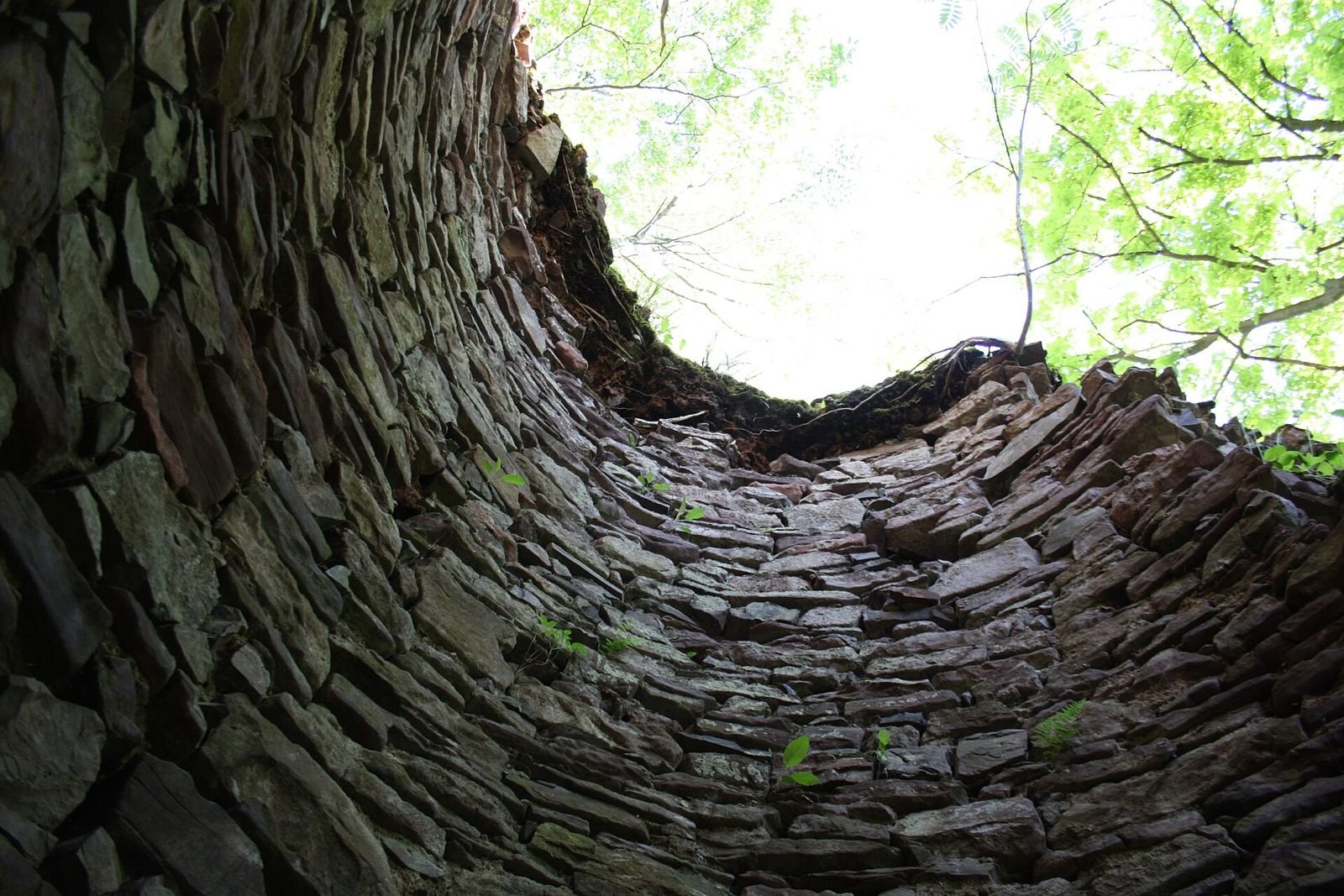 Wnętrze ruin okrągłej wieży zamku Radosno: widok w górę na kamienne lico muru.
