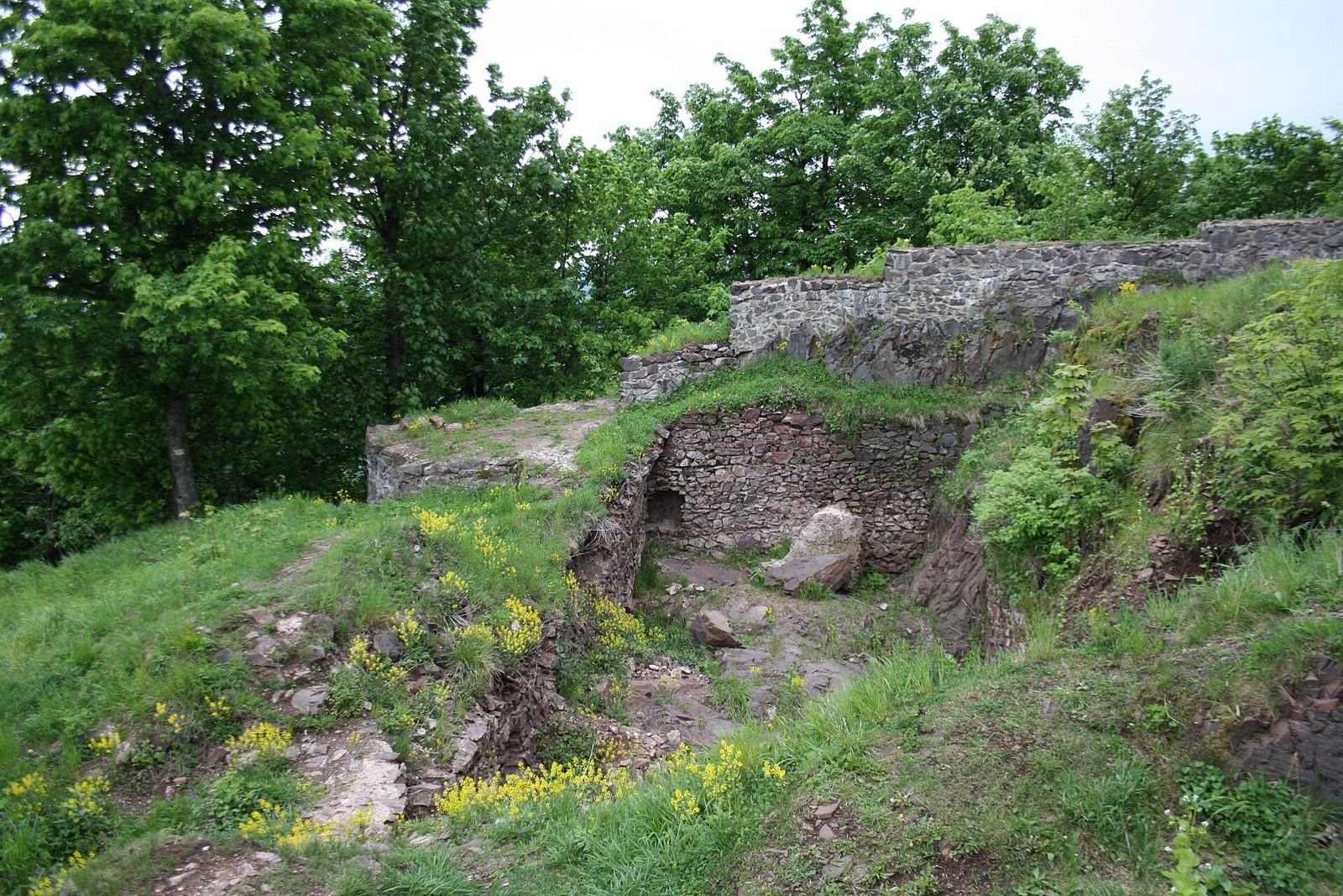 Ruiny zamku Rogowiec: fragment muru i wykopy wśród trawy na wzgórzu.