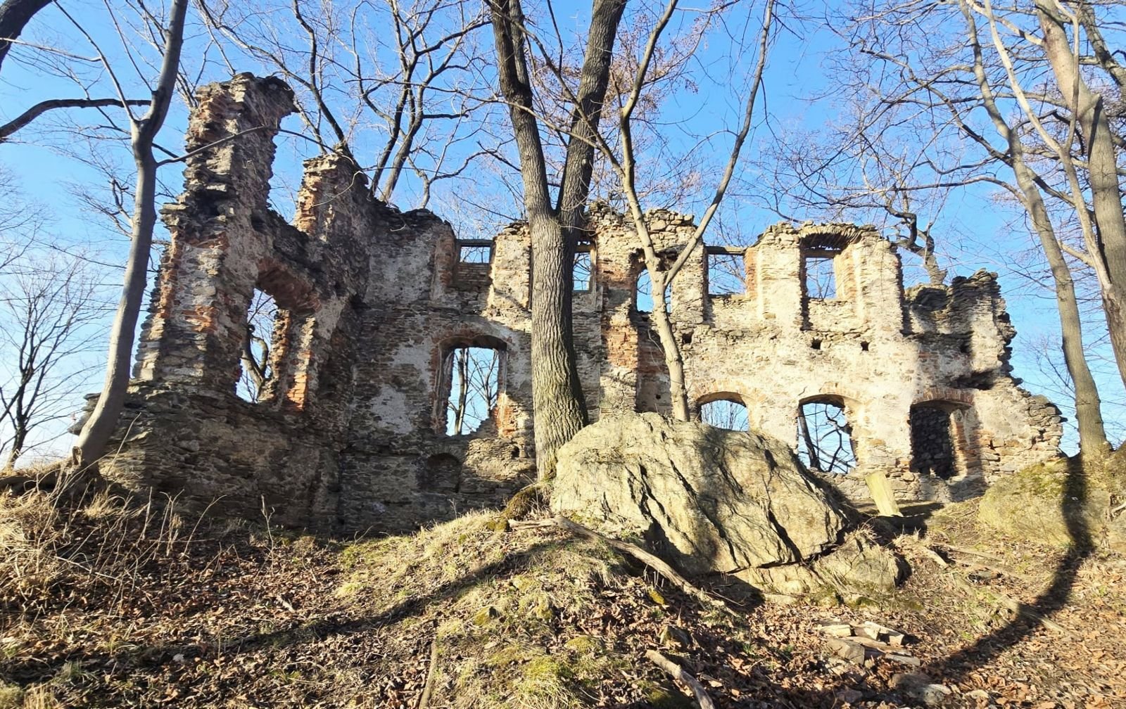 Ruiny zamku z kilkoma oknami we wnękach murów, widziane z góry skarpy wśród bezlistnych drzew.