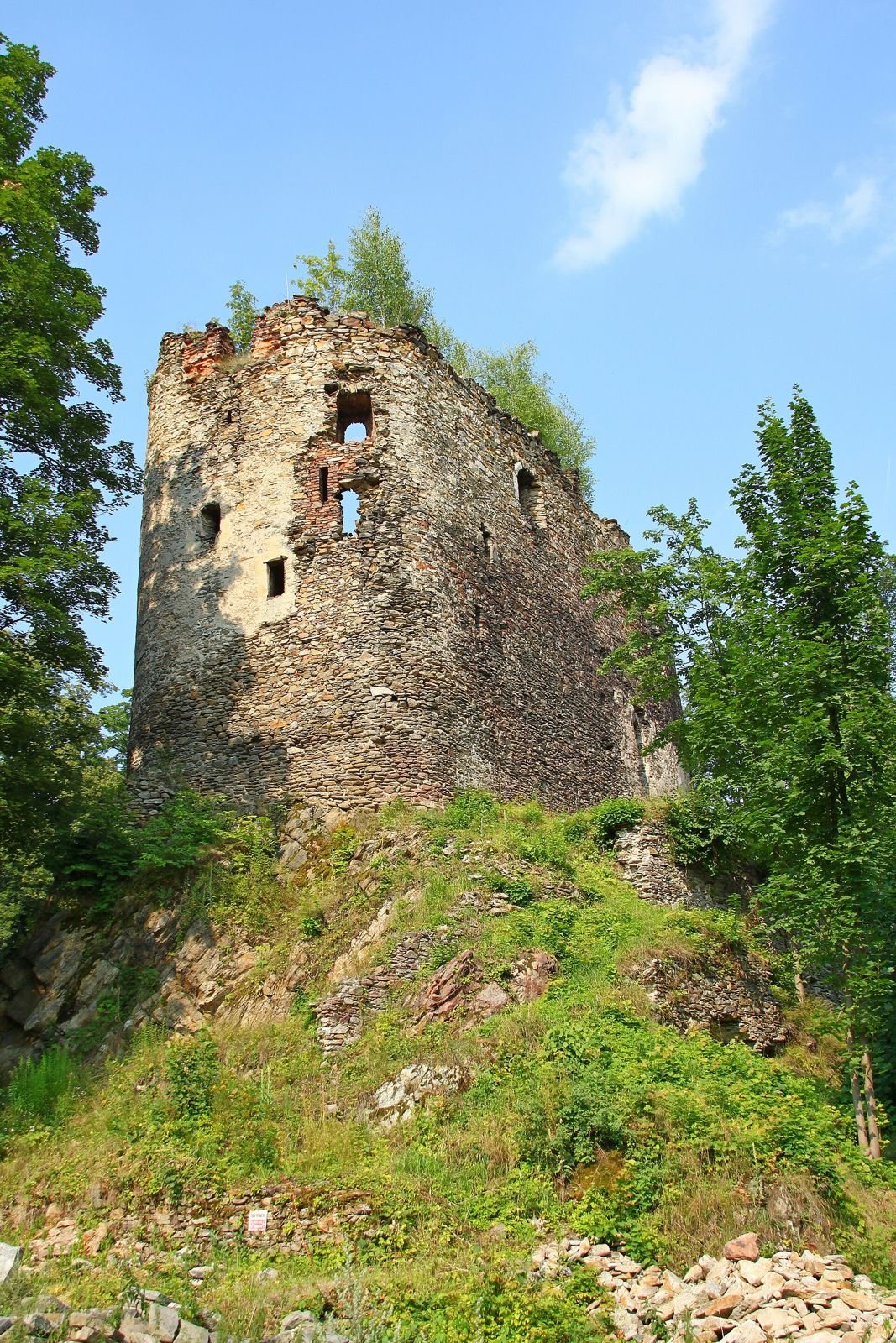 Kamienna wieża ruin zamku w Świeciu na skale porośniętej trawą, na tle błękitnego nieba