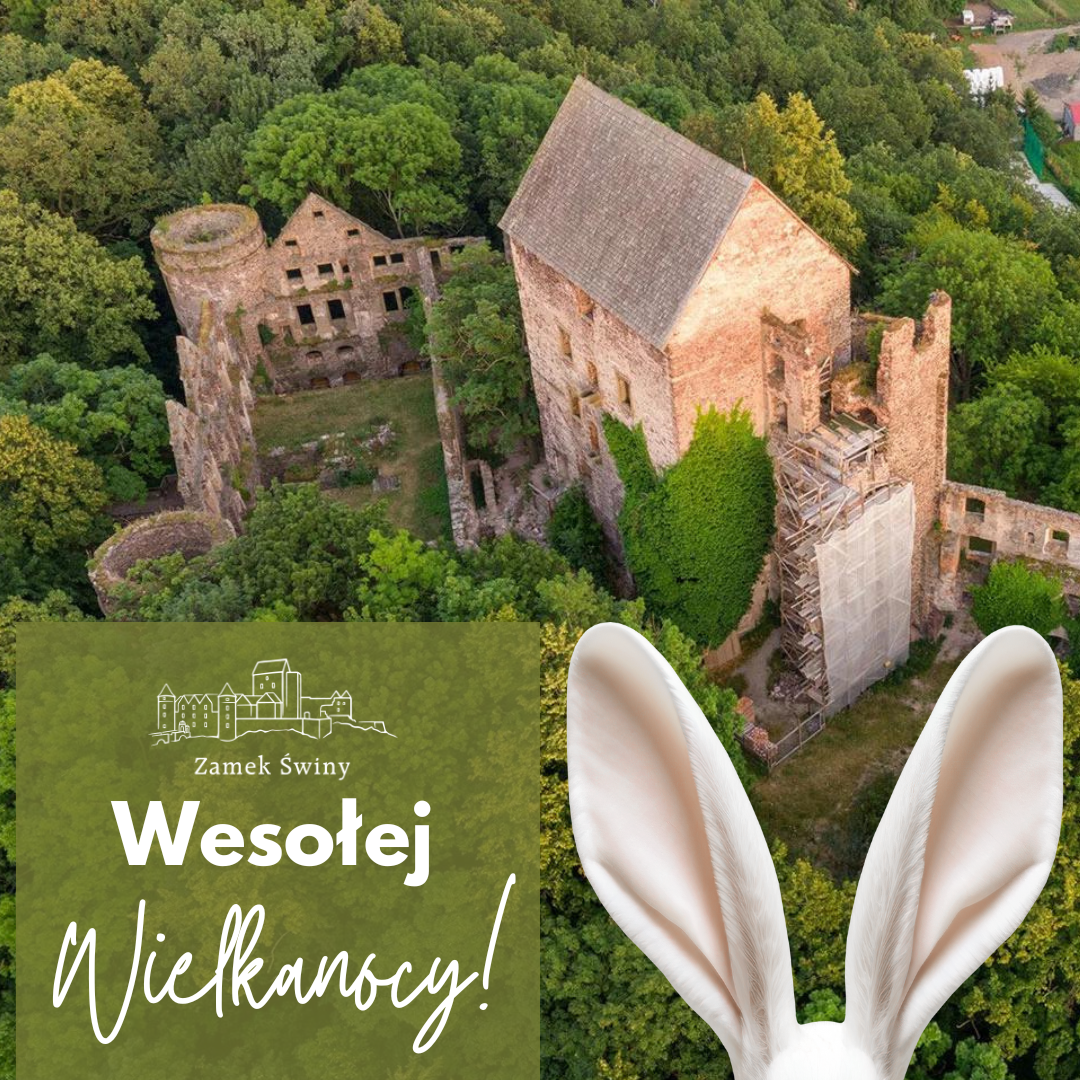 zamek swiny i uszy krolika